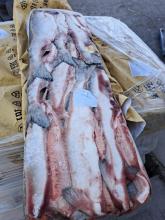 Горбуша ПБГ Дары Камчатки